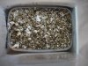 DSC01096 (Medium).JPG