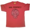 mrperfectboys.jpg