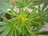 GetAttachment[4].jpg