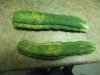 DSCF1219.JPG