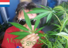 Jacob2.png
