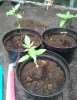 20130710_135155-1.jpg