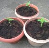 20130714_173814-1.jpg