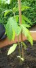 20130720_114042-1.jpg