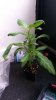 20150915_090349sally.jpg