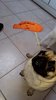 20170428_123851.jpg
