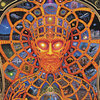 alex_grey-cosmic_christ-crop1.jpg alex_grey-cosmic_christ-crop1.jpg