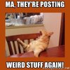 ma-theyre-posting-weird-stuff-again.jpg