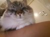 20201118_194431.jpg