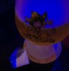 20201130_001607.jpg