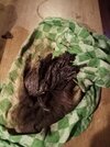 IMG_20201221_161448.jpg