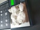 20200919_183920.cleaned.jpg