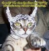 cat-with-tin-foil-hat-16407434984.jpeg cat-with-tin-foil-hat-16407434984.jpeg