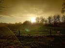 IMG_20210109_155629.jpg