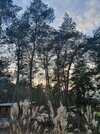 20210125_161656.jpg