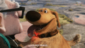 1611979775306.gif