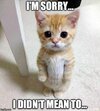 5a8478dc0dd37c512ca9b72175cd09a8.jpg