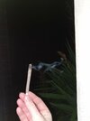 20210218_045029.jpg