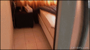 1613700416084.gif