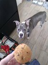 20210227_160217.jpg