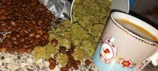 20210308_085037.jpg