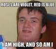 1a1169ab84bc449868460f263ac61d74--my-friend-funny-shit.jpg