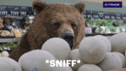 1615415610979.gif