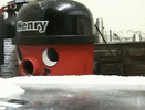 BlackSpeedyFirefly-size_restricted.gif BlackSpeedyFirefly-size_restricted.gif