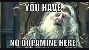 dopamine.jpeg dopamine.jpeg