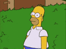 1617781703741.gif