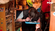 BewitchedWarlikeAstrangiacoral-size_restricted.gif BewitchedWarlikeAstrangiacoral-size_restricted.gif