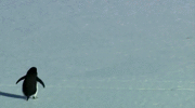 hXDCTOg.gif