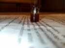 IMG_20210415_150129.jpg