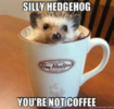1618999334021.png