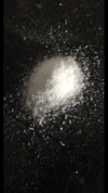 13A3AA1C-1AA7-4A8C-8F8A-143192F74A36.png