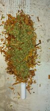 20210427_124957.jpg
