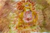 IMG-20180617-WA0002 - Copy.jpg