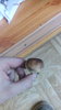 IMG_20180629_152244.jpg