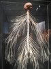 20180707_193927.jpg