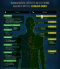 drug-cutting-agents-graphic-2.gif drug-cutting-agents-graphic-2.gif