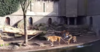 Screenshot-2015-03-27-at-11.13.01.png