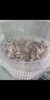 Screenshot_20190206-113638-540x1080.png