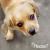 upload_2019-2-6_15-8-38.jpeg