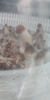 Screenshot_20190213-125939-540x1080.png