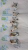DSC_0514-1548x2752.JPG