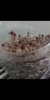 Screenshot_20190221-165812-540x1080.png