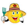 1619976212584.png