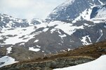 DSC_4256.JPG
