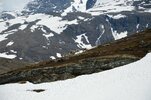 DSC_4260.JPG