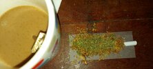 20210508_024543.jpg